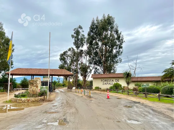 Excelente Inversión, Parcela Condominio La Foresta Zapallar.