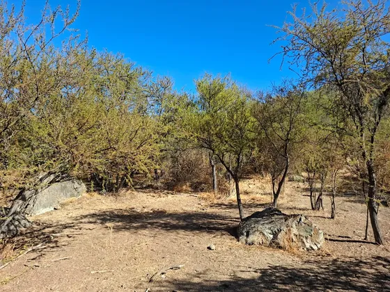 Se Vende Parcela En Curacaví Sector Los Naranjos
