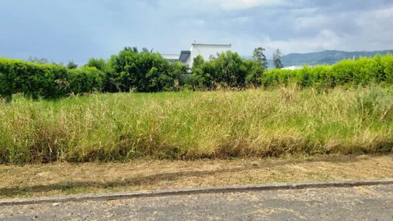 Lote En Condominio Campestre En Venta Santa Elena Elena El Cerrito