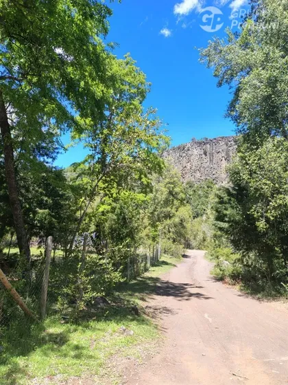 Parcela En Venta, Sector Los Pellines, Región De Ñuble