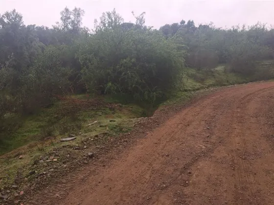 Parcela En Venta En Condominio En Laguna De Aculeo 