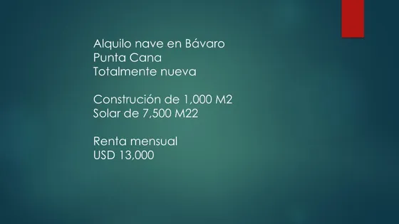 Inversionista: Alquilo Nave En Bávaro, Punta Cana