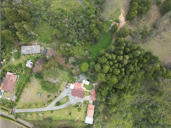 Venta De Finca En Rionegro Vereda Mampuesto