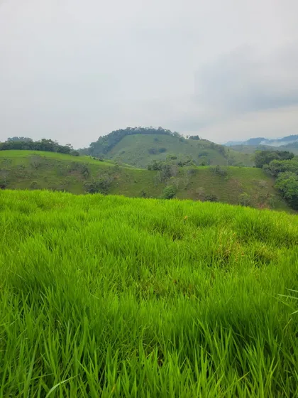 Se Vende Finca Ganadera En Doradal 