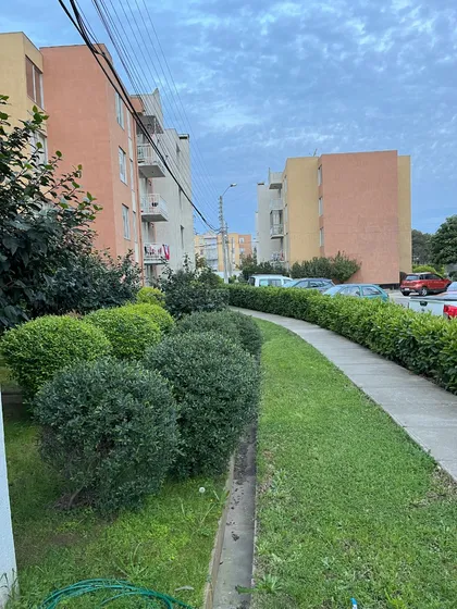 Vendo Mi Joyita 