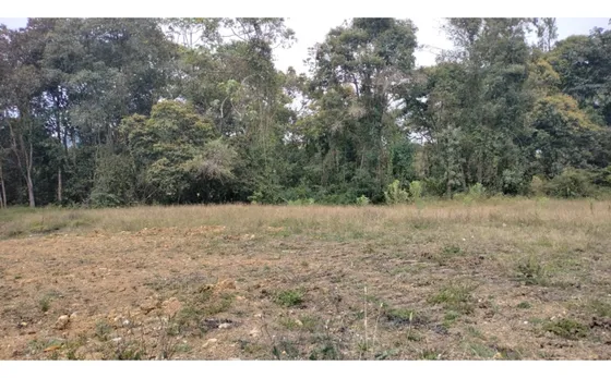 Lote En Venta Sector El Tambo, Municipio De La Ceja