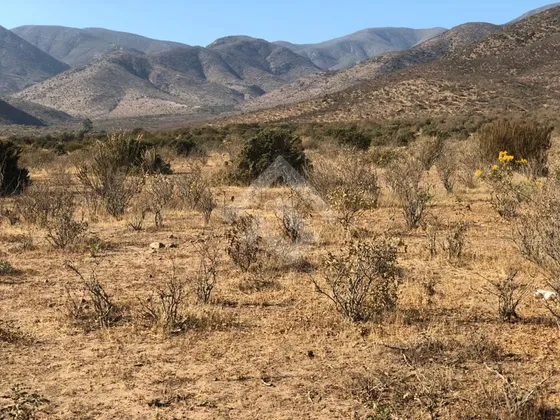 Agrícola En Venta En Andacollo