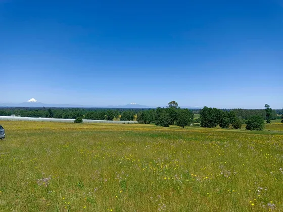 Parcelas En Frutillar, Bosques Y Praderas. Financiamiento 