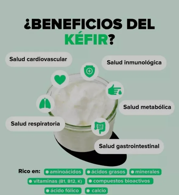 30 Gramos De Búlgaros, Nódulos O Kéfir De Leche