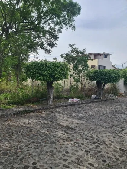 Lote En Fraccionamiento | Las Palmas