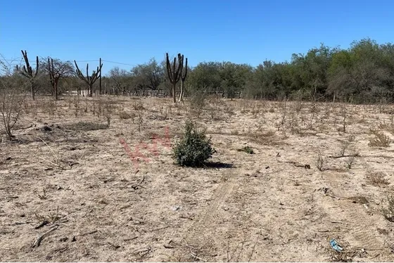 Venta De 5 Terrenos En Tabachines A Una Cuadra De Forjadores