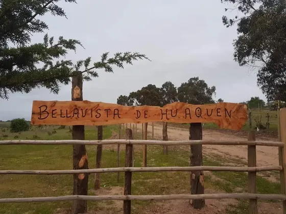 Precio Rebajado- Venta Parcela 10.000 M2- Bellavista Huaquén