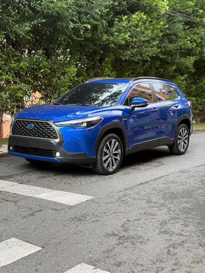 Toyota Rav4 2.0 Hybrid