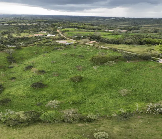 Finca Juanalejo De 5 Hectareas A La Venta, Morales