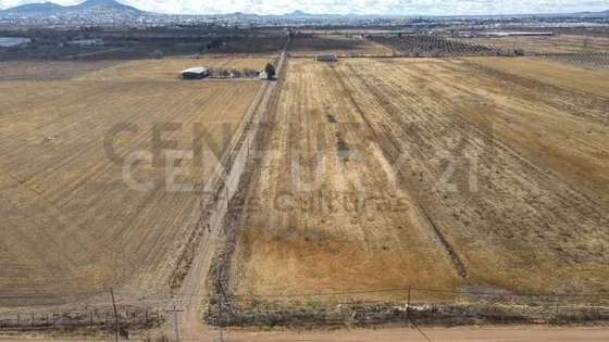 Terreno Rustico-habitacional En Quinta Lupita  (atrás De Unifrut)