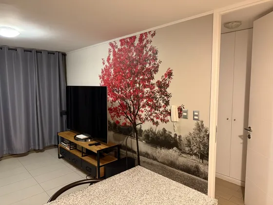 Vendo Departamento 1d/1b Amoblado Y Centrico Con 1e/1b