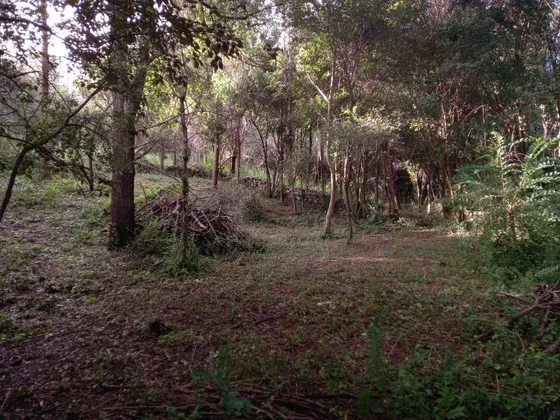 Lote En La Cumbre. Hermosa Vista. Ideal Para Cumplir Tu Sueño De Una Casa En Las Sierras