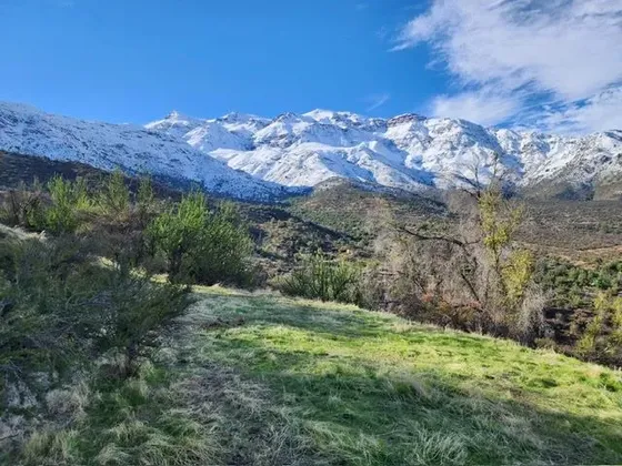 Parcela-fundo San Francisco De Los Andes