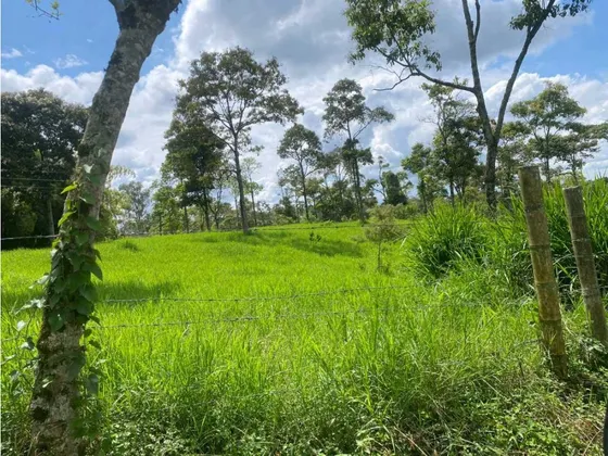 Lote Esquinero Con Excelente Ubicación Rural