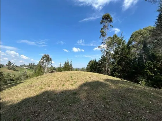Rhbr-14825 (lote) (rionegro, Sajonia)