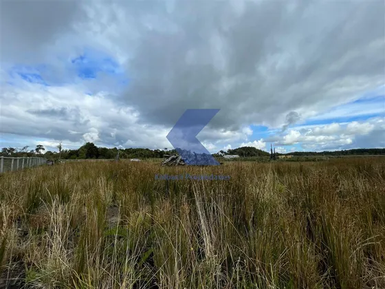 Parcela En Venta Camino Ensenada, Puerto Varas