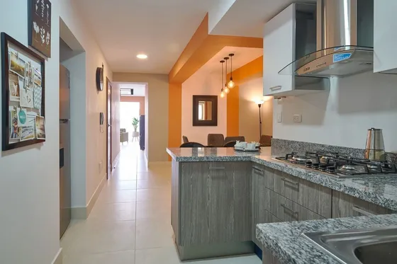 Venta Apartamento Amueblado, En La Esperilla