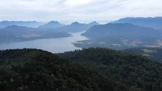 Campo En Lago Maihue, Bosque Chabranco  Futrono