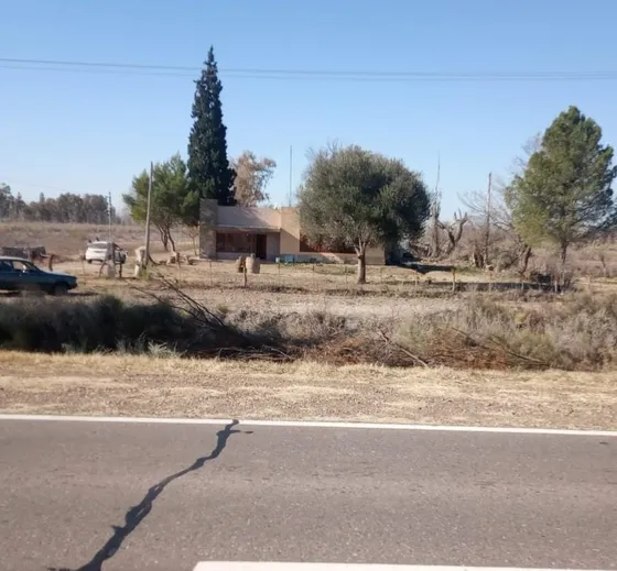 Finca 37 Ha. Sobre Ruta Nac. 143 , A 15 Km Al Sur De General Alvear, Mendoza.