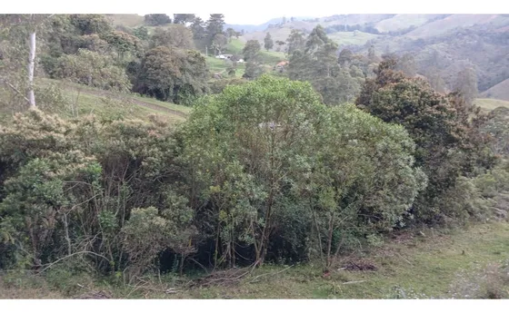 Lote Campestre En El Retiro, Sector Puente Pelaez 