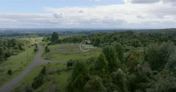 Parcela En Venta En Puyehue
