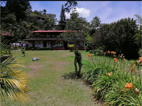 Finca En Guarne 15 Minutos Del Pueblo A La Venta Precio De Oportunidad