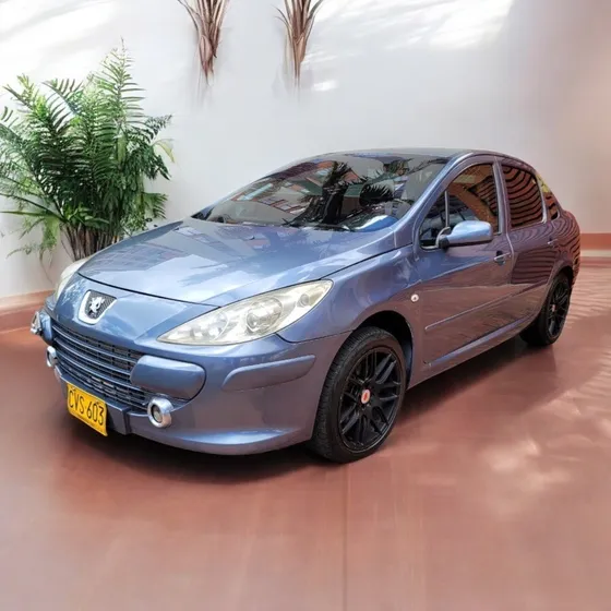 Peugeot 307 2.0 Xs Pack Feline