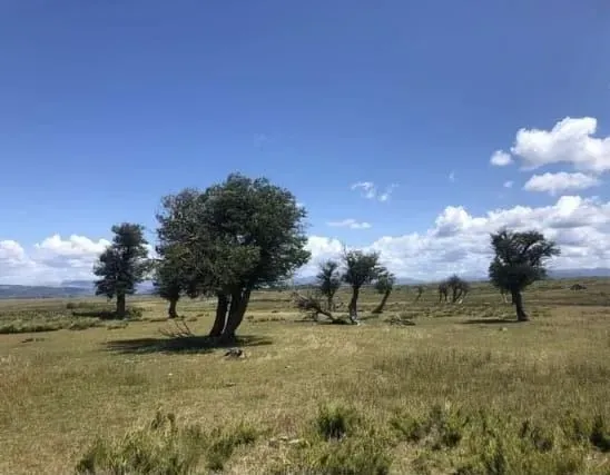 Parcela En Venta En Lonquimay