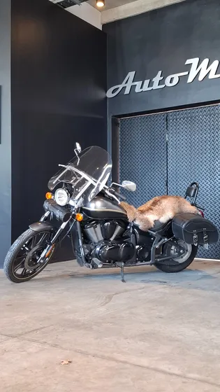 Kawasaki Vulcan 900 Custom