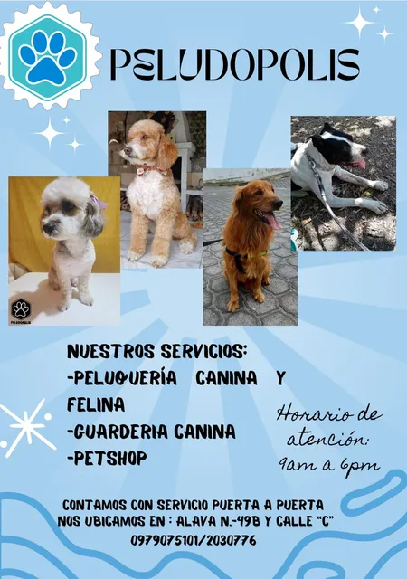 Peluquería Canina Y Felina, Guardería Y Hotel Canino 
