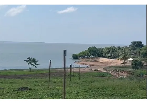 Lotes En Venta En Barú Cartagena De Indias
