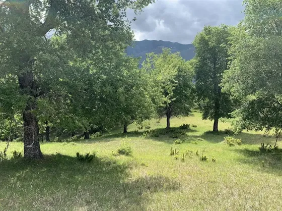 Parcela En Venta En Lonquimay