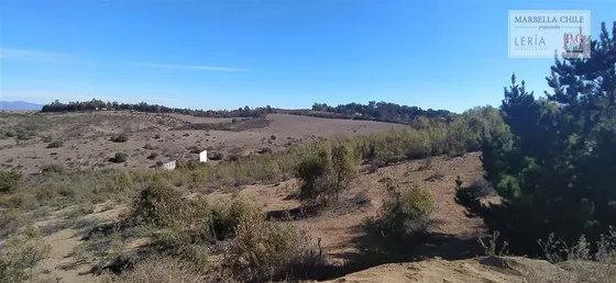 Parcela En Venta En Puchuncaví