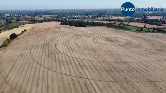 Campo Abundante Agua Apto Frutales Y Agricultura