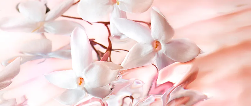 Idôle Lancôme, Perfume Feminino Eau de Parfum Chipre Floral com Rosas Centifolia, Damascena e Jasmim, 25ml - Imagem 3