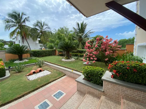 Casa Palmarito