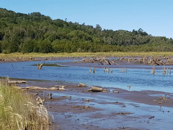 Parcela En Venta En Ancud