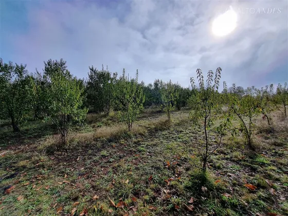 Sitio En Venta En Mafil