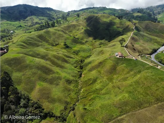 Finca Don Matías, Antioquia - Agroindustria - Se Vende