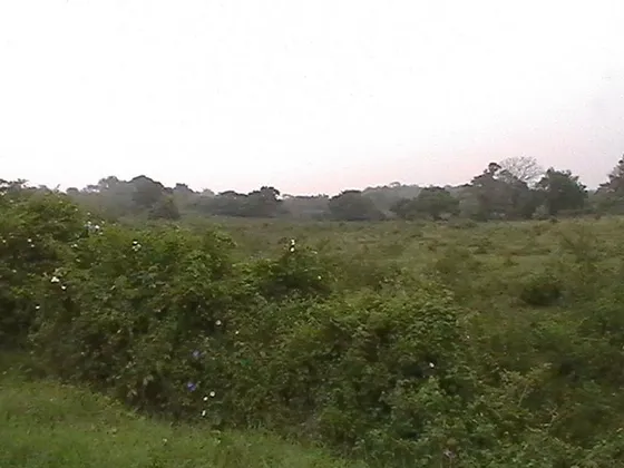 Venta Terrenos 45597 M²  Av. Américas Tuxpan Veracruz 