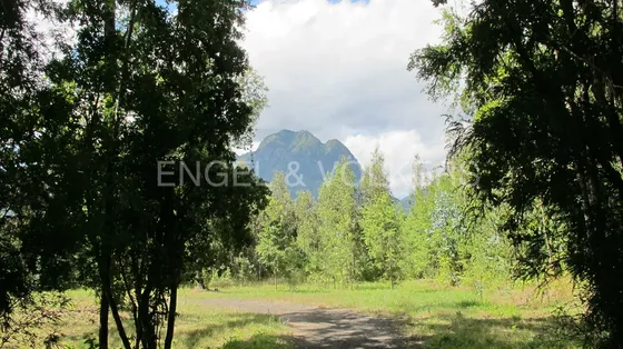 Parcela Con Bosque Nativo En Condominio Cerrado / 2000mts2