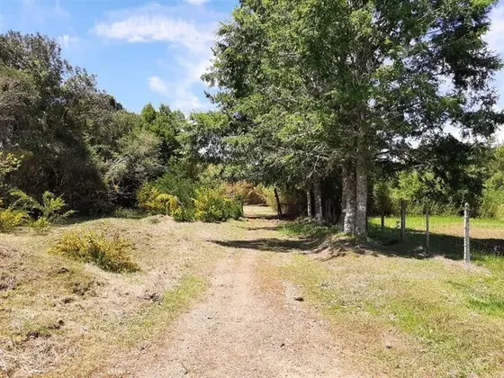 Hermosa Parcela En Cunco Con Borde Río Curaco!