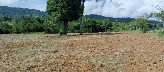 Venta De Terrenos Para Construir Villas, Casa De Campo, Fincas En  Hato Viejo De Yamasá