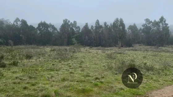 Venta Terreno Urbano Con Luz Y Agua , El Quisco