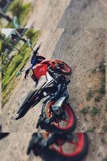 Roja Con Calcamonías